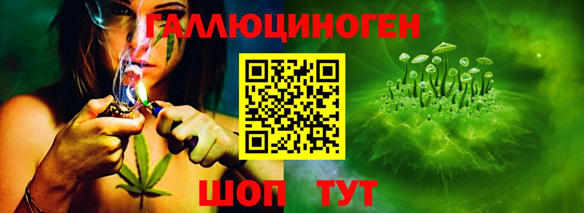 Псилоцибиновые грибы MAGIC MUSHROOMS  Вход с VPN  Гагарин 